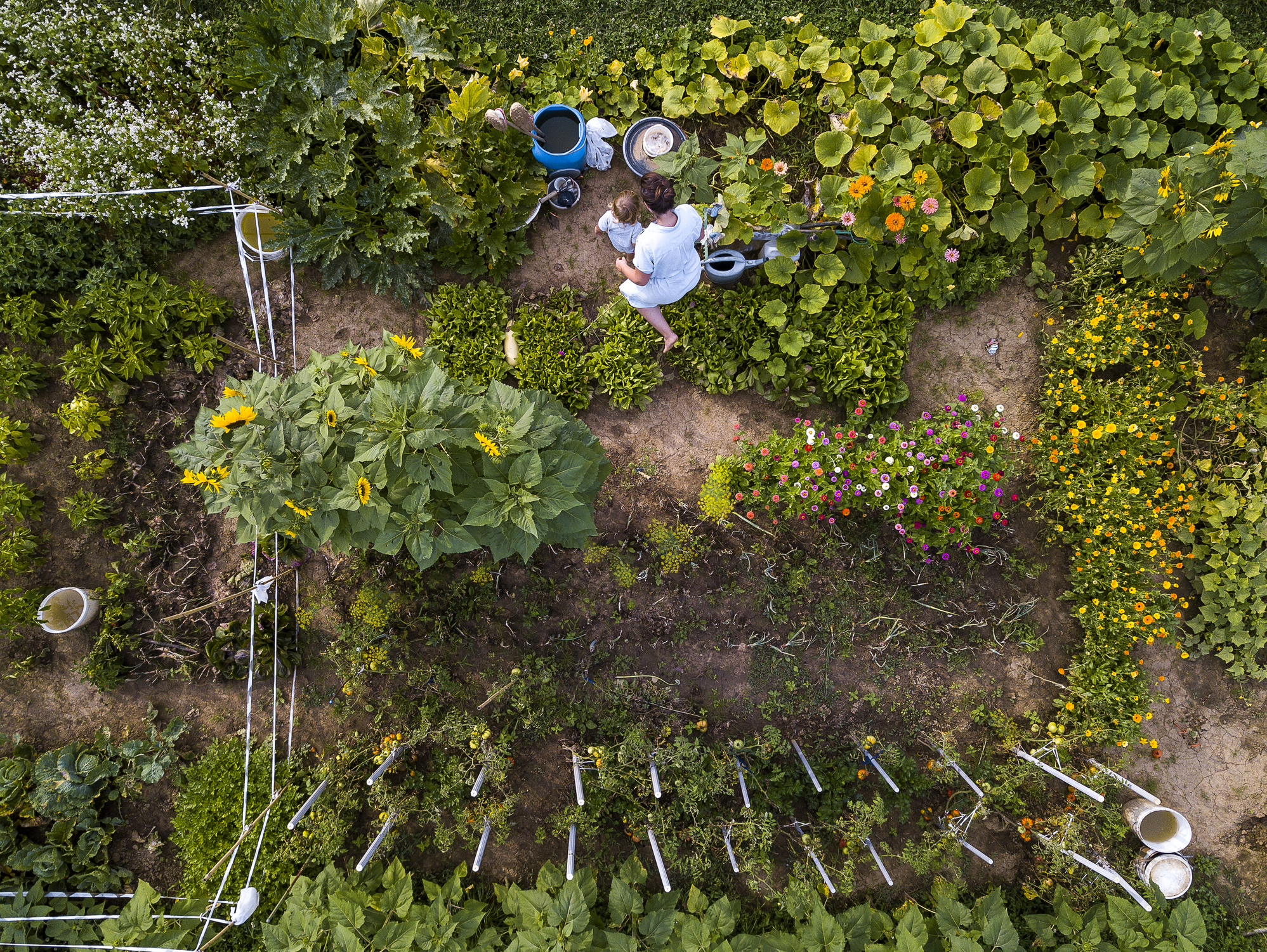 Mother and son in the garden