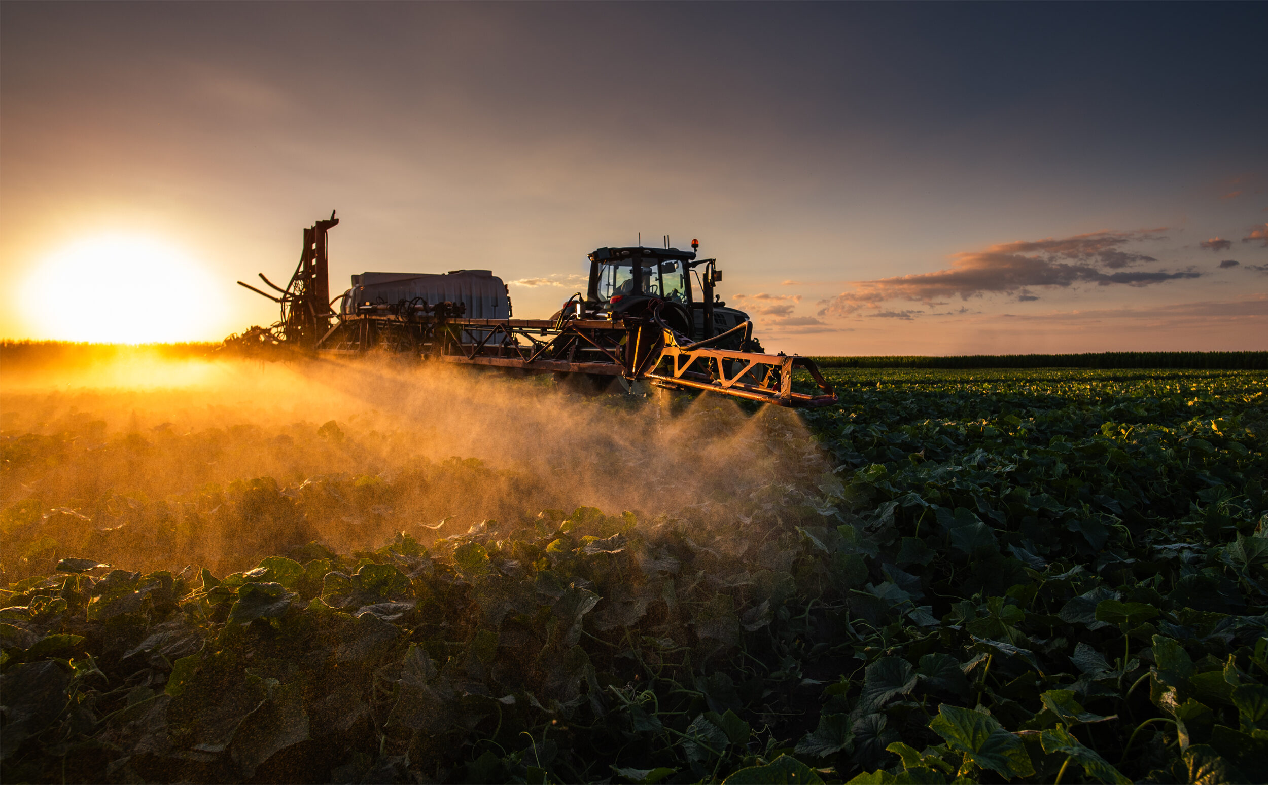 Tractor spraying pesticides on vegetable field  with sprayer at spring